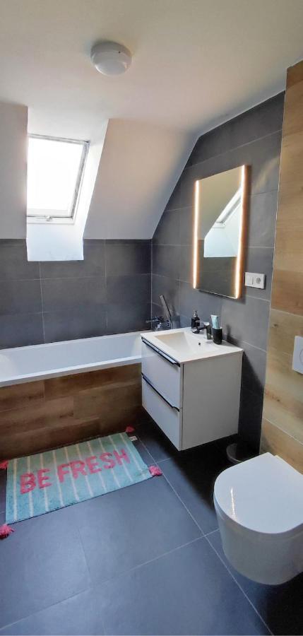 Apartman Pod Jestedem Lejlighed Liberec Eksteriør billede